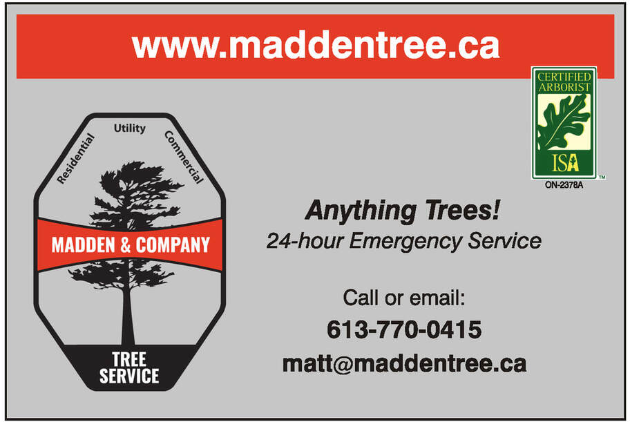 Madden Tree Service 613-770-0415